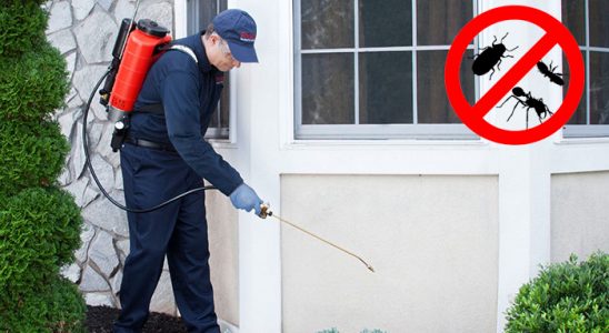 Sinop Haşere İlaçlama böcek ilaçlama ve haşere kontrolü — ilaclama-tr.com